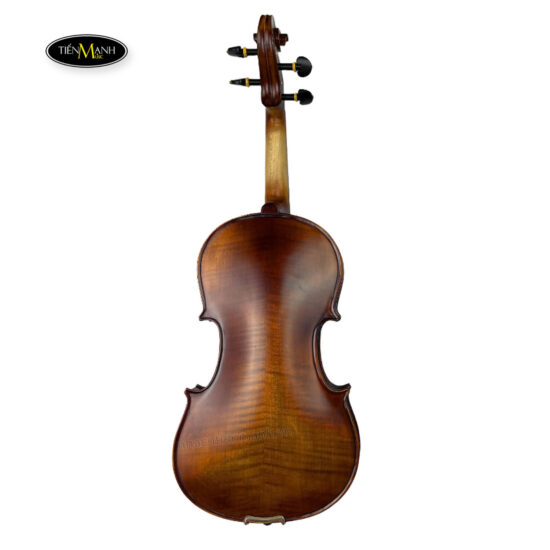 Đàn Violin Amati-1969 VF300( VF500) (1/4 1/2 3/4 4/4), Gỗ Thịt - Ảnh 5