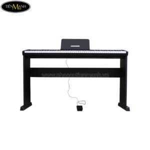 Đàn Piano Điện Maxwell