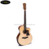 dan-guitar-acoustic-ba-don-co-t450-eqb12 (13)