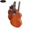 dan-guitar-acoustic-ba-don-j-100-2
