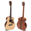 dan-guitar-acoustic-ba-don-m350 (1)
