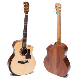Đàn Guitar Acoustic Ba Đờn T450  ( có gù )