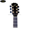 dan-guitar-acoustic-ba-don-t500d-1