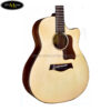 dan-guitar-acoustic-ba-don-t550-d (2)