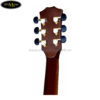 dan-guitar-acoustic-ba-don-t550-d (4)