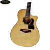 dan-guitar-acoustic-ba-don-t550c (3)