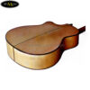 dan-guitar-acoustic-ba-don-t550c (4)