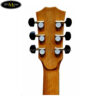 dan-guitar-acoustic-ba-don-t550c (6)