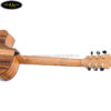 dan-guitar-acoustic-ba-don-t600 (2)