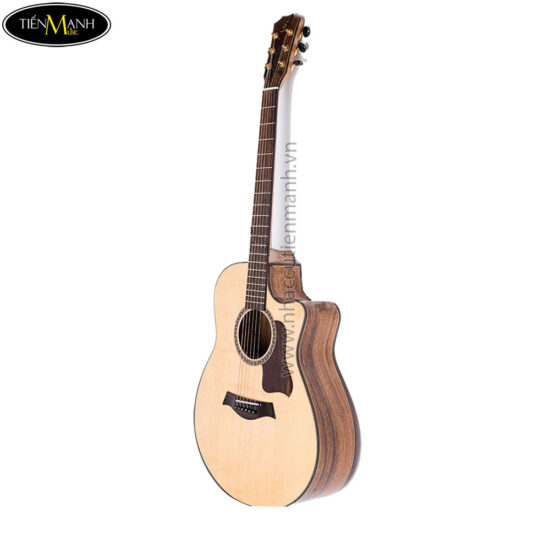 dan-guitar-acoustic-ba-don-t600 (4)