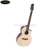 dan-guitar-acoustic-ve-70-2