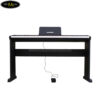 dan-piano-dien-bora-bx-02 (3)