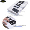 cac-chuc-nang-cua-dan-piano-gap-bora-br01-2