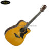 dan-acoustic-yamaha-a5r (2)