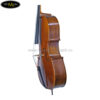 dan-cello-scott-cao-STC-600-1
