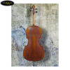 dan-cello-scott-cao-STC-600-5