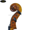 dan-cello-scott-cao-STC-600-6