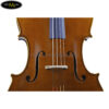 dan-cello-scott-cao-STC-600-7