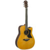 dan-guitar-acoustic-yamaha-a5r-20