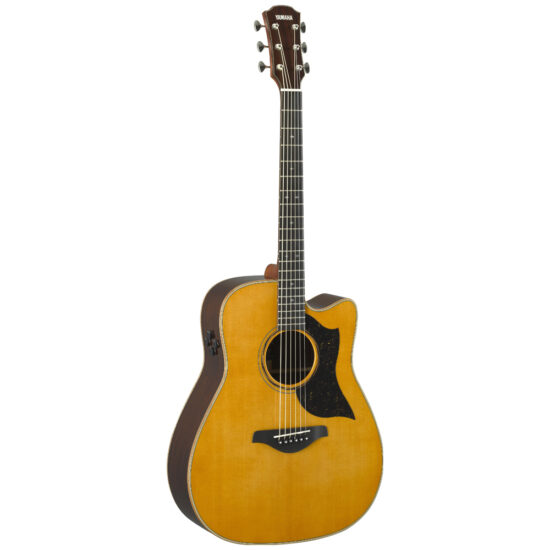 dan-guitar-acoustic-yamaha-a5r-20