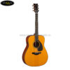 dan-guitar-acoustic-yamaha-fgx5-1