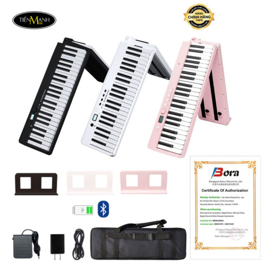 dan-piano-dien-gap-bora-bx-20-112