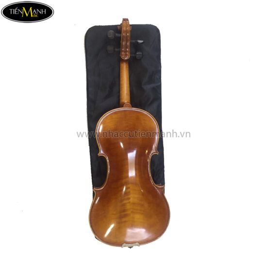 Đàn Violin Cremona GCV-012 size 4/4 - Ảnh 2