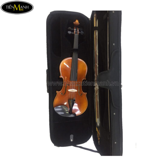 Đàn Violin Cremona GCV-012 size 4/4 - Ảnh 3