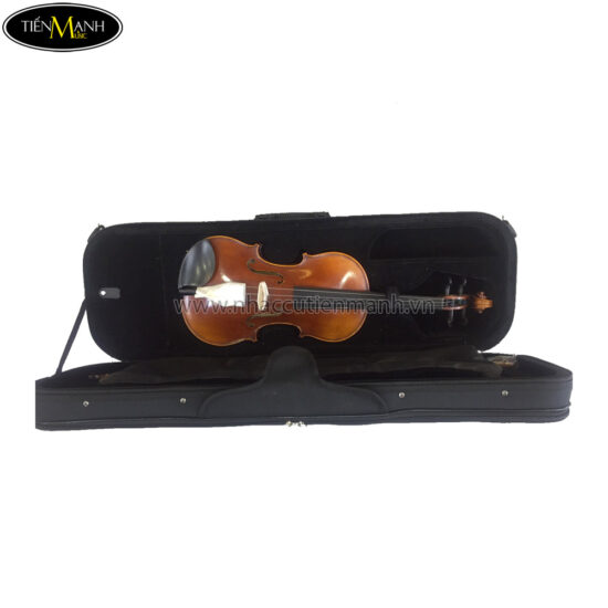 Đàn Violin Cremona GCV-013 size 4/4 - Ảnh 3