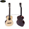 dan-guitar-classic-ba-don-c-100-2