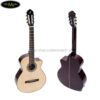 dan-guitar-classic-ba-don-c-170-J-1