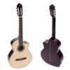 dan-guitar-classic-ba-don-c-170-J-2