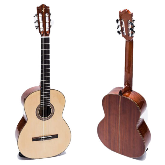 dan-guitar-classic-ba-don-c250-1