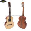 dan-guitar-classic-ba-don-c300-1