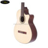 dan-guitar-classic-ba-don-c300j-3