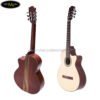dan-guitar-classic-ba-don-c300j-5
