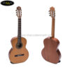 dan-guitar-classic-ba-don-c350-body-1