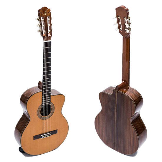 dan-guitar-classic-ba-don-c550d-2