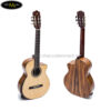dan-guitar-classic-ba-don-c600j-1