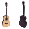dan-guitar-classic-ba-don-dam-100-1
