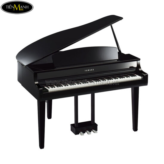 Đàn Piano Điện Yamaha CLP-765-GP Clavinova - Ảnh 2