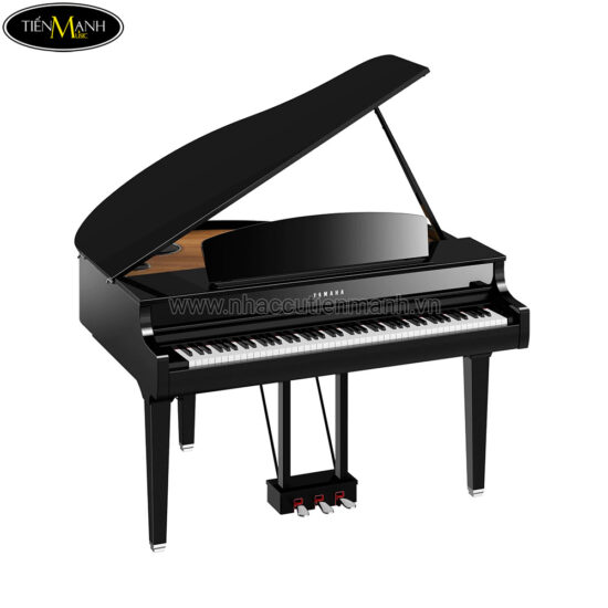 Đàn Piano Điện Yamaha CLP-795-GP Clavinova - Ảnh 2