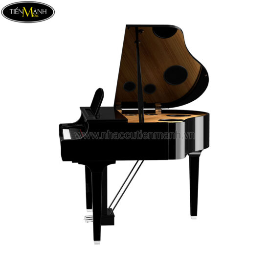Đàn Piano Điện Yamaha CLP-795-GP Clavinova - Ảnh 3