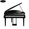 dan-piano-dien-yamaha-clp-795-gp-clavinova-4