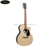 martin-gpc-x2e-11
