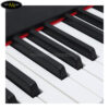 dan-piano-dien-bora-bx8-4
