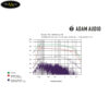 adam-t8v-loa-kiem-am-3