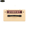 amply-blackstar-debut-15e (4)