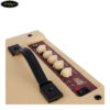 amply-blackstar-debut-15e (5)