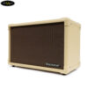 blackstar-acoustic-core-30w (2)
